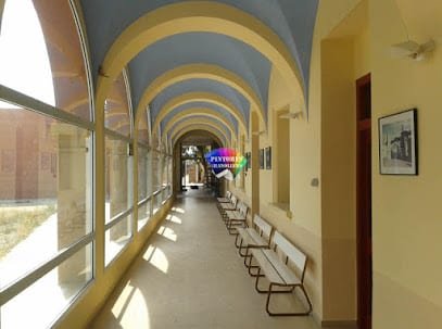 M.cano Pintores Granollers