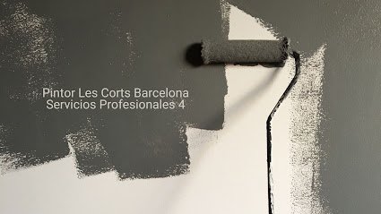 Pintor Les Corts Barcelona Servicios Profesionales 4